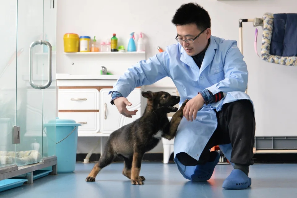 China Says It Cloned A Police Dog to Speed Up Training